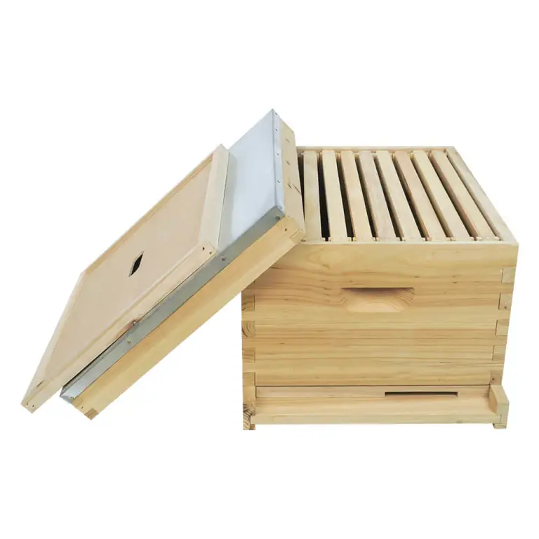 Durable Wooden Single-Layer Beehive for Effective Beekeeping and Apiculture