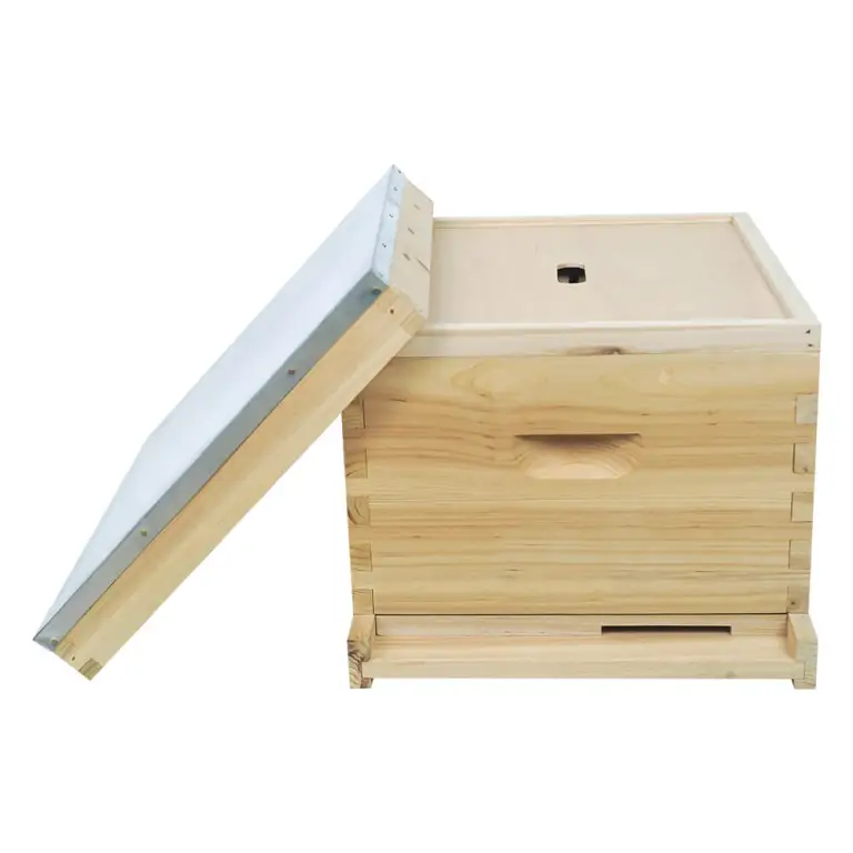Durable Wooden Single-Layer Beehive for Effective Beekeeping and Apiculture