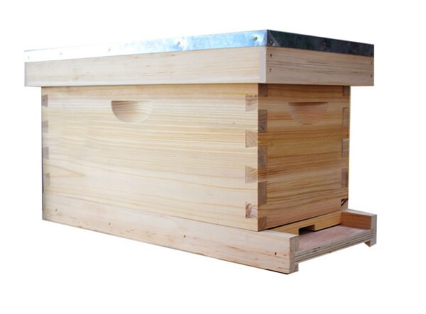 Huamuyi Beekeeping Kit Central Bee Equipment with Langstroth Kings Box and Chinese Fir Beehive 1