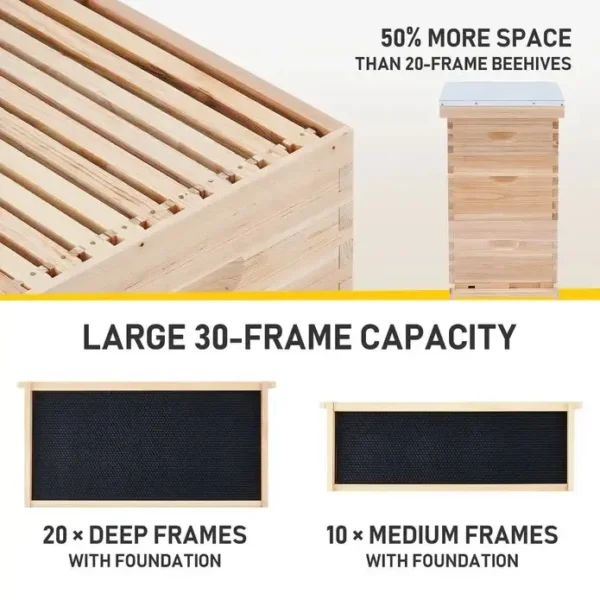 Versatile Beehive Kits Durable Pine and Cedar Options for Modern Beekeeping 2 2