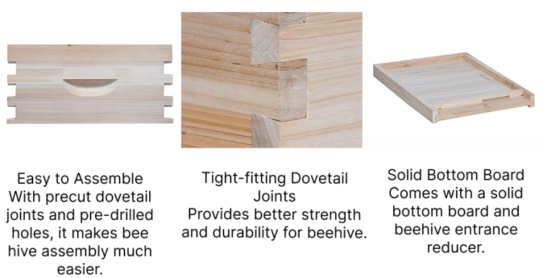 Versatile Beehive Kits: Durable Pine and Cedar Options for Modern Beekeeping